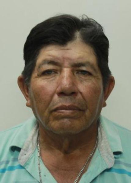 Cornejo Peña, Julio