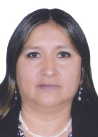 Julisse Karina Diaz Buendia